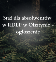 Staż dla absolwentów w RDLP w Olsztynie - ogłoszenie