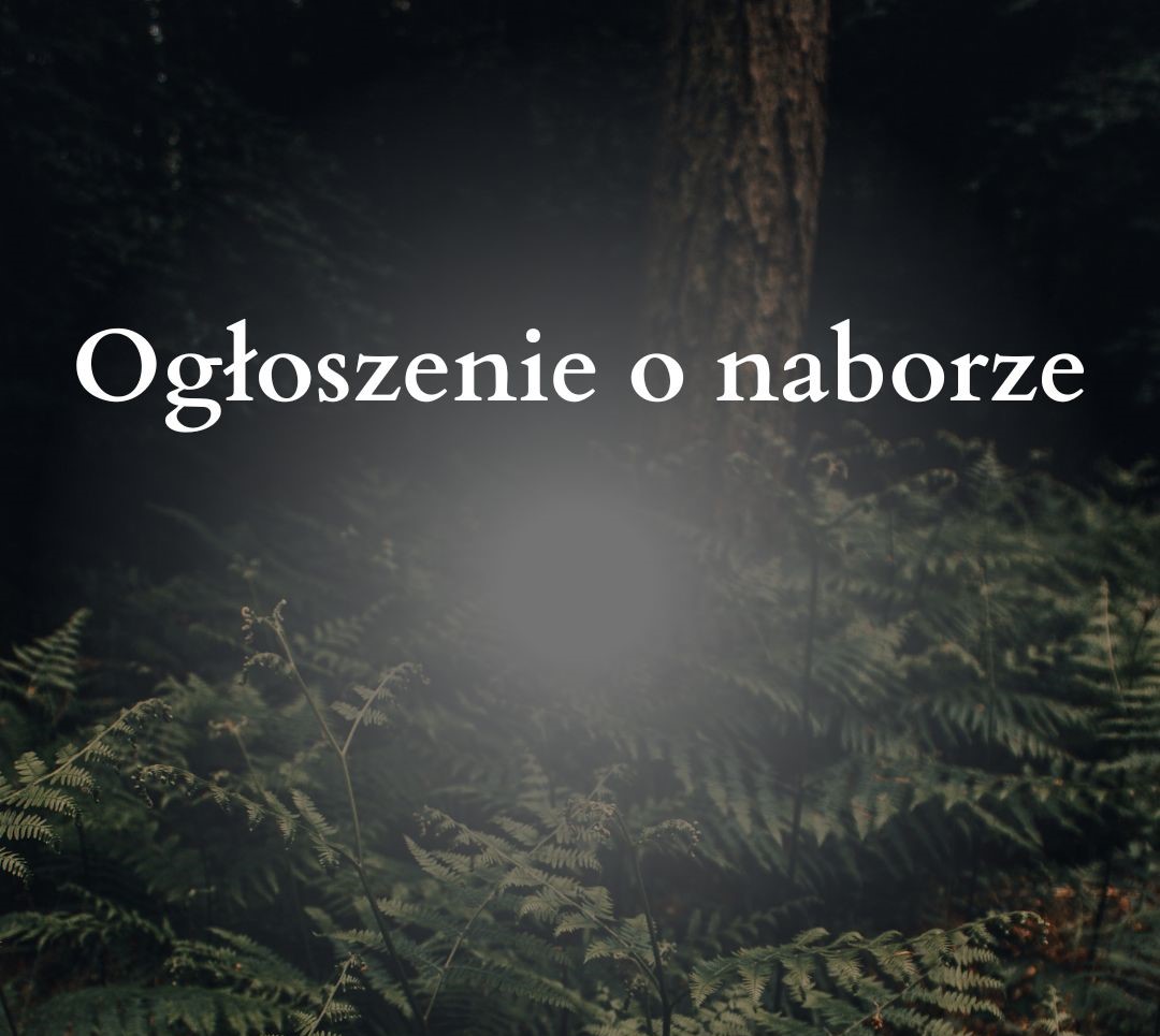 Ogłoszenie o naborze