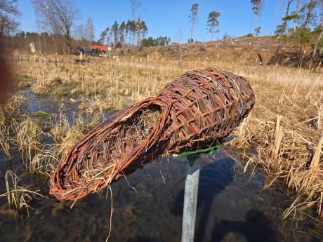 Kosze lęgowe dla kaczek